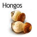 Hongos