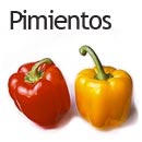 Pimientos